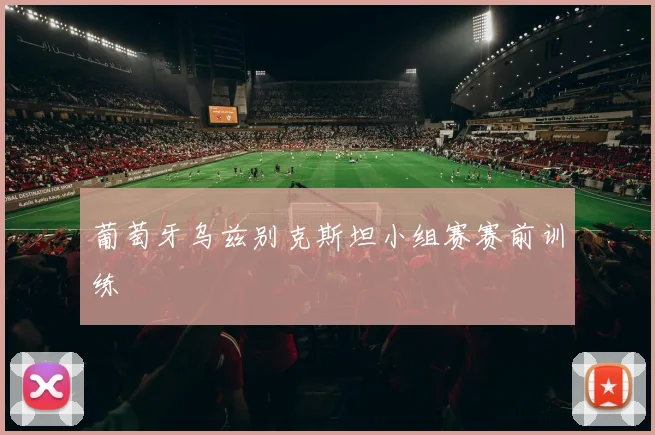 葡萄牙乌兹别克斯坦小组赛赛前训练
