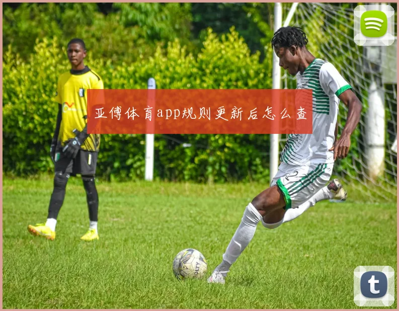 亚傅体育app规则更新后怎么查