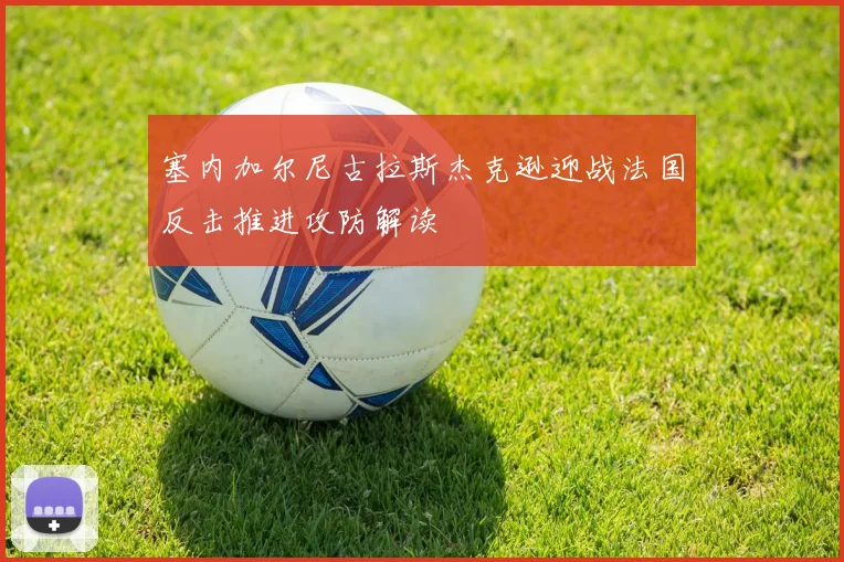 塞内加尔尼古拉斯杰克逊迎战法国反击推进攻防解读